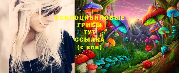 трава Алзамай