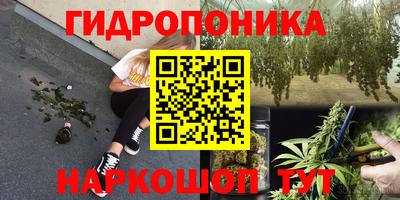 дурь Владимир