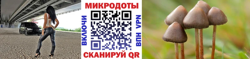 Галлюциногенные грибы GOLDEN TEACHER где купить Боровичи