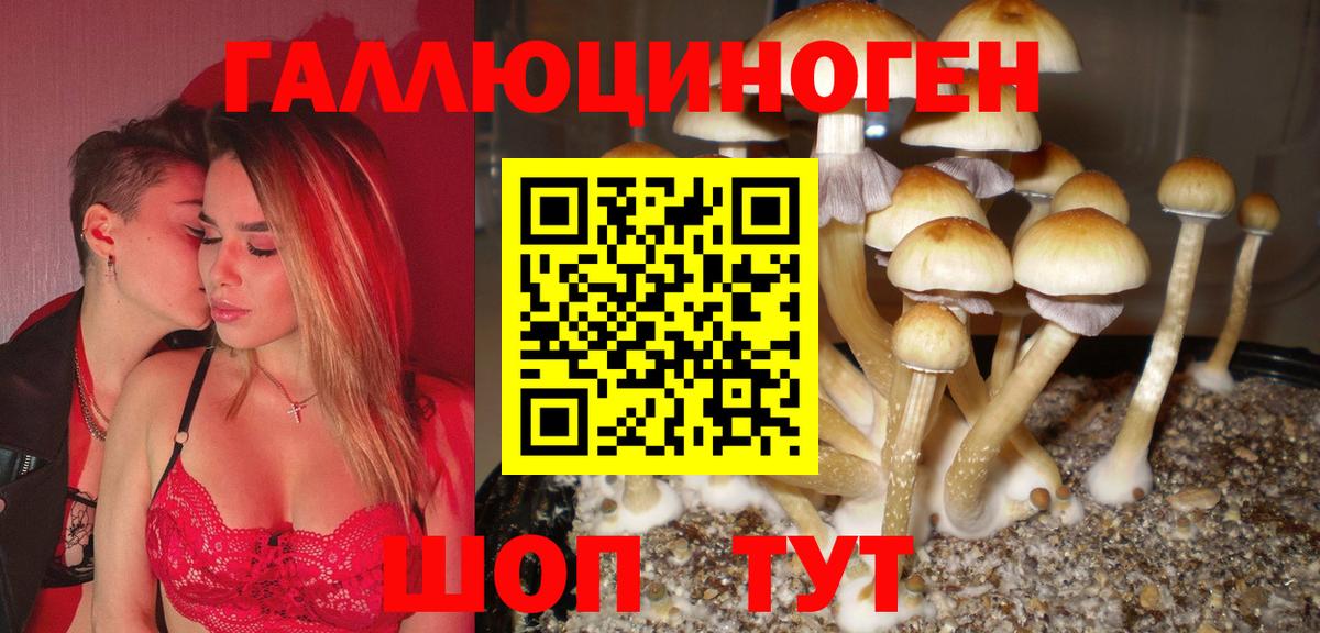 Боровичи  Галлюциногенные грибы прущие грибы  даркнет сайт  Вход с VPN 
